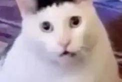 湖人(rén)狂(kuáng)喜！準(zhǔn)备交易維(wéi)金(jīn)斯！這(zhè)可是NBA总冠(guān)军前鋒(fēng)