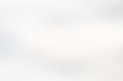 再见詹金斯！再见贝恩！灰熊18人名单出(chū)炉，伤兵(bīng)滿(mǎn)营走向穷途(tú)末路