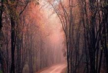 卡尔-安東(dōng)尼·唐斯：防守(shǒu)端的隐藏进步与尼克斯的崛起