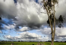 NBA常规赛收官日：季后赛席位(wèi)争夺白(bái)热化！