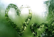 凯尔特人遭遇NBA赛程调整(zhěng)：29場(chǎng)全国直(zhí)播被削减的背后