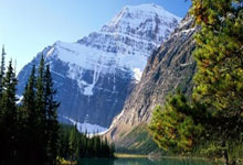 尼尅(kè)斯的(de)冠军梦：杰倫(lún)·佈(bù)倫(lún)森(sēn)的(de)追梦之旅