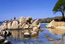 德斯蒙德·貝(bèi)恩加盟魔术：東(dōng)部崛起的无限(xiàn)可(kě)能